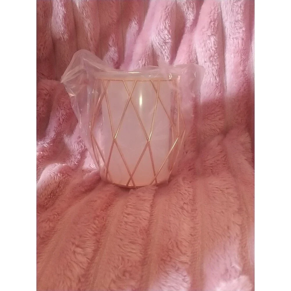 Scentsy Wire You Blushing Plug In Wall Mini Warmer Rose Gold New in Box  S1